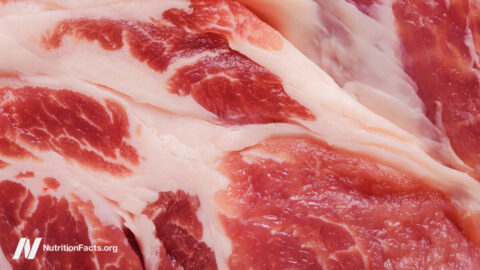 The Meat Papers Contradicted Their Own Data