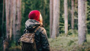 Beyond the red hat: brain networks in premenstrual dysphoric disorder